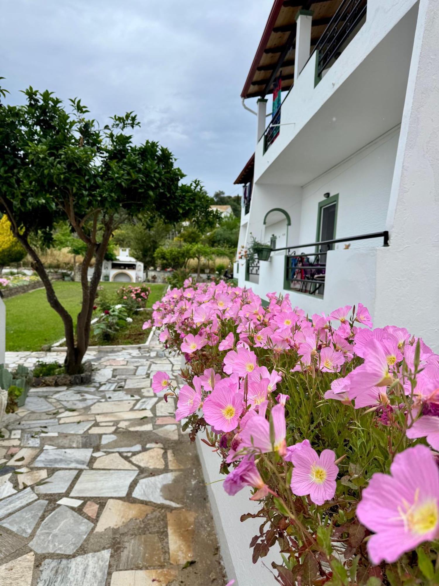 Irene Studios Arillas  Exterior foto